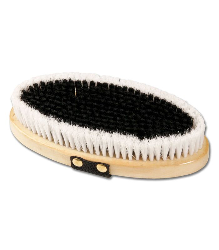 Kit de démarrage pour le toilettage